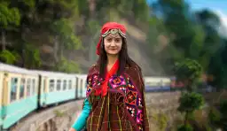 Honeymoon trip to Manali/Shimla 1