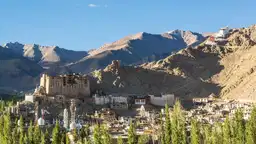 Leh Ladakh Odyssey 2