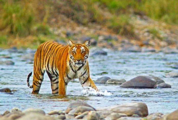 Incredible Uttarakhand