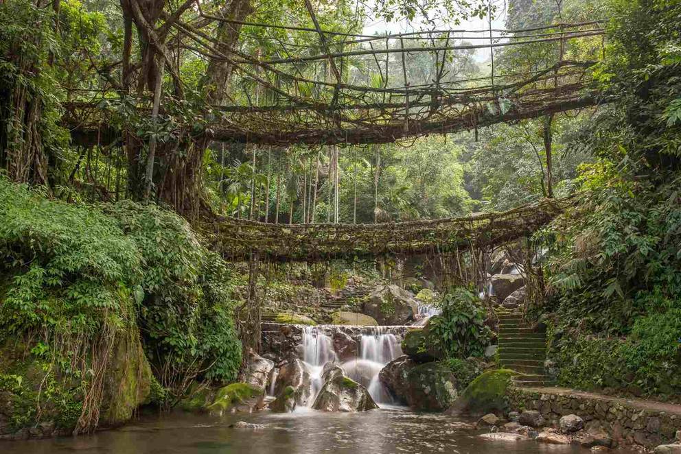 Discover the Mystical Hills of Meghalaya with GTrip