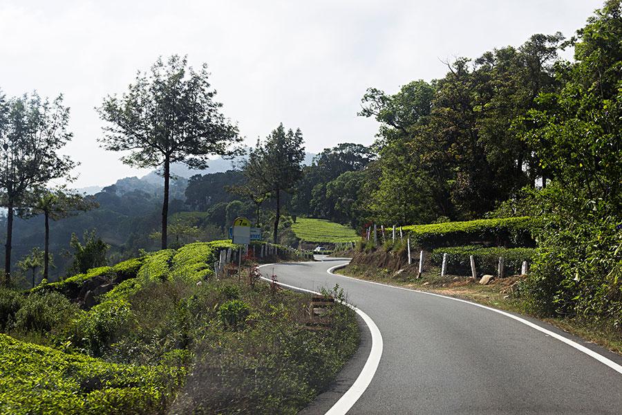 Discover Assam & Meghalaya with GTrip – From Guwahati to Cherrapunji