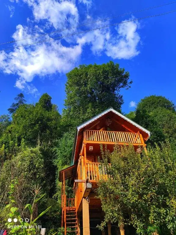 Mystic Jibhi Treehouse Escape