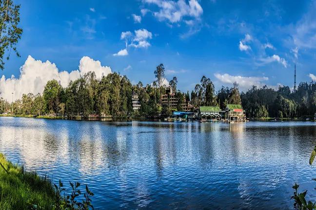 Mysore to Ooty to Kodaikanal: A Scenic South India Tour with GTrip