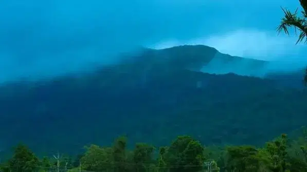 Pakshipathalam