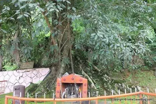 Karinthandan Temple ( Chain Tree )
