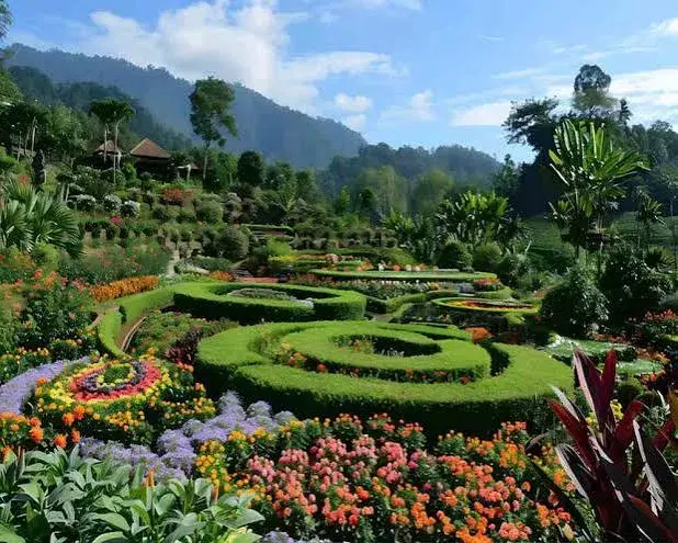Chaubatia Garden