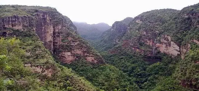 Handi Khoh