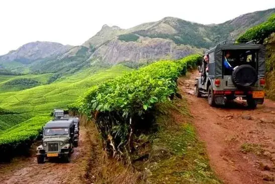Kolukkumalai Jeep safari