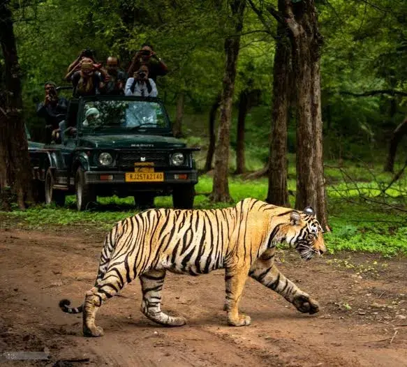 Ranthanbore Jeep Safari