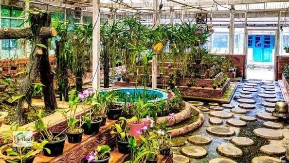 Tipi Orchid Centre