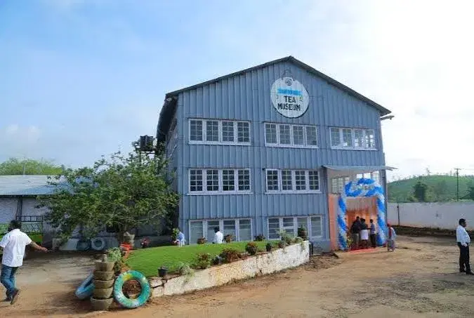 Wayand Tea Museum