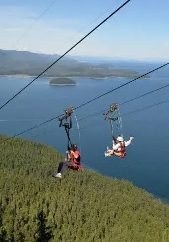 Zipline Point