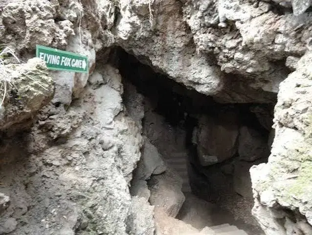 Eco cave