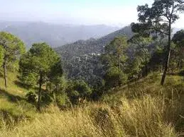 Gilbert Trail