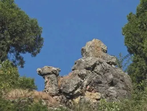 Camel's Back Road