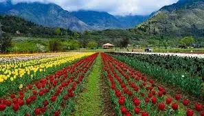 Indira Gandhi Memorial Tulip Garden