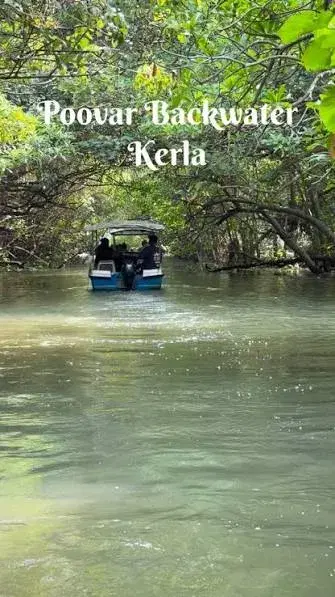 Poovar Backwaters