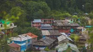 Pulga Village