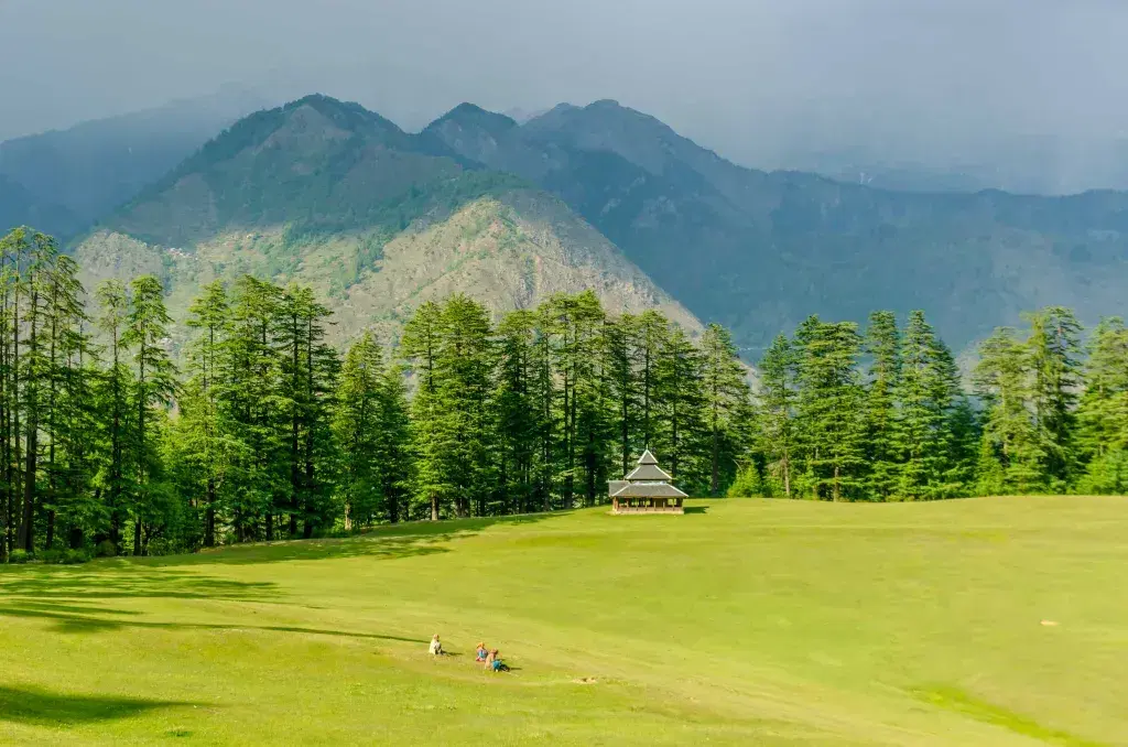 Shangarh Meadows