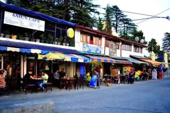 Sister Bazaar