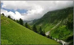 Shoja
