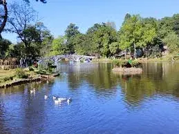 Ward’s Lake
