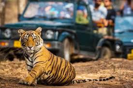 Jim Corbett Jeep Safari