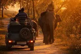 Kaziranga Jeep Safari