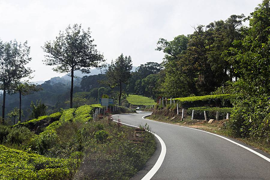 Discover Assam & Meghalaya with GTrip – From Guwahati to Cherrapunji