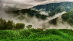 Munnar Weekend Escape 2