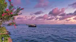 Kerala's Majestic Landscapes 1
