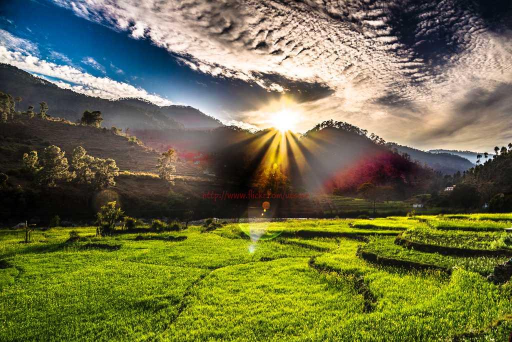 Nainital Kausani Ranikhet Corbett Nature Escape