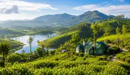 Munnar Weekend Escape 1