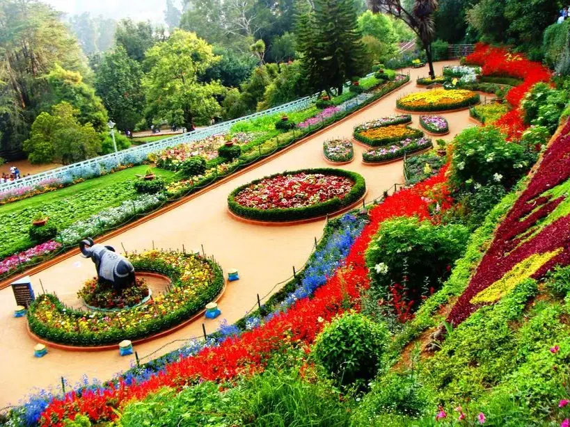 Discover Ooty’s Charm with GTrip’s Scenic Hill Getaway