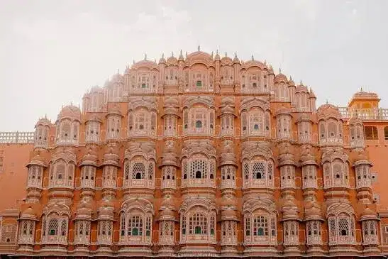 Pink City Short Escape