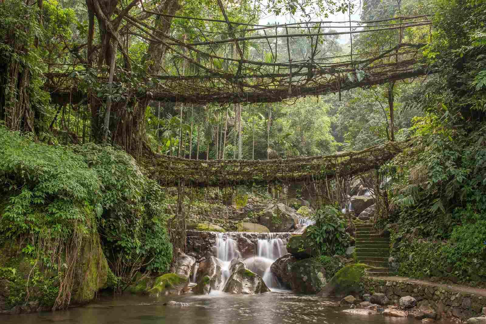 Discover the Mystical Hills of Meghalaya with GTrip