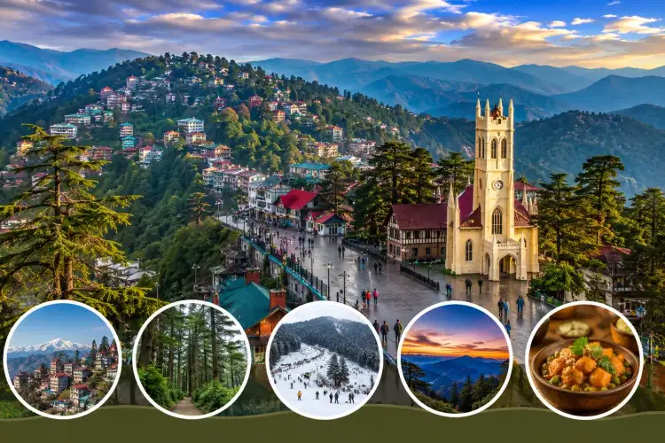 Shimla VegVoyage