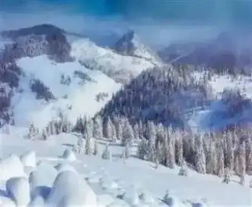 Manali Escape from Ambala