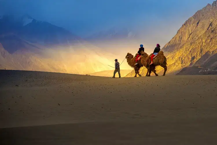 A Blissful Adventure: Leh and Srinagar Tour