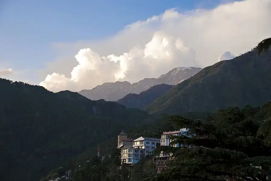 Dharamshala Tour Packages: Scenic Views & Cozy Stays