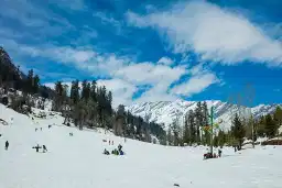 Deluxe Himachal - Shimla, Manali, Dharamshala 3