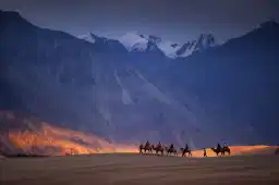 Remarkable Ladakh Premium Tour Package 3