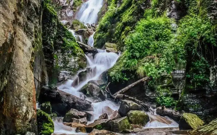 Manali Sattvik Escape