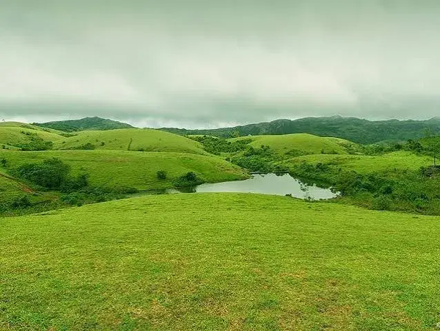 Vagamon Meadows