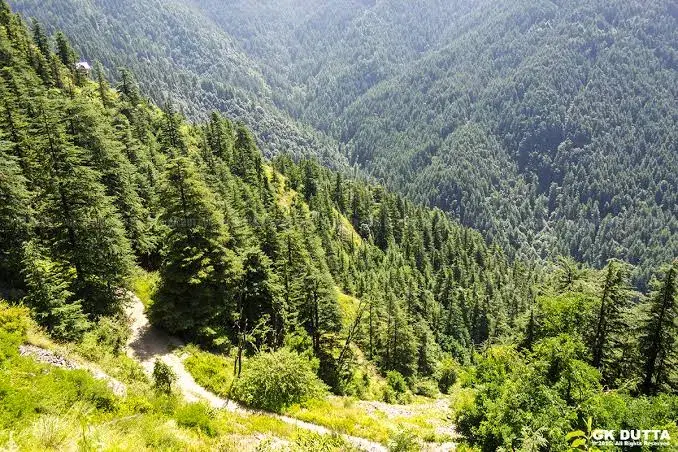 Green Valley