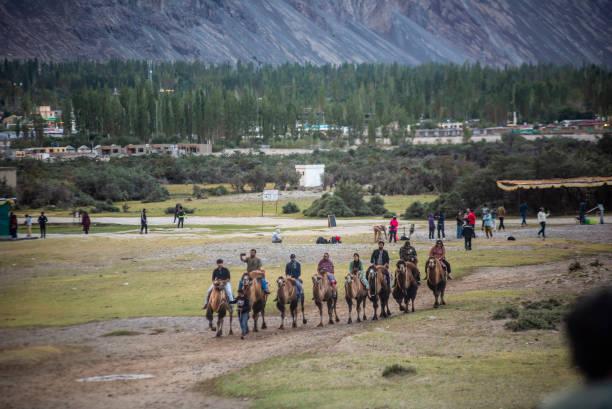 Hunder Sand Dunes & Camel Safari