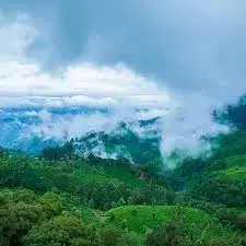 Pothenmedu View Point