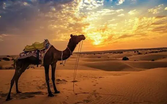 Raisar Sand Dunes