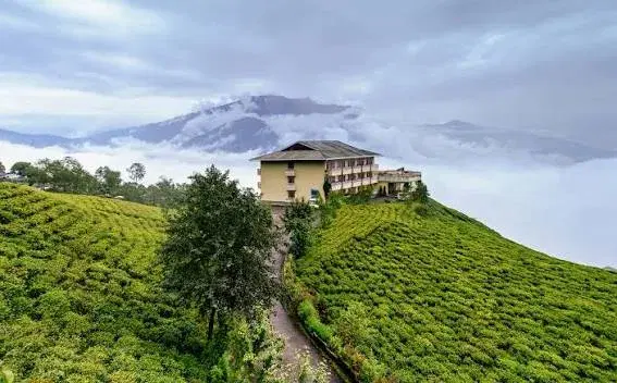 Temi Tea Garden