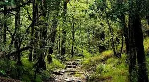 Binsar Wildlife Sanctuary